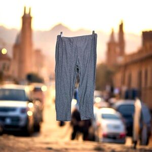 Terra & Sky Gray Leggings Cropped Athletic Fit